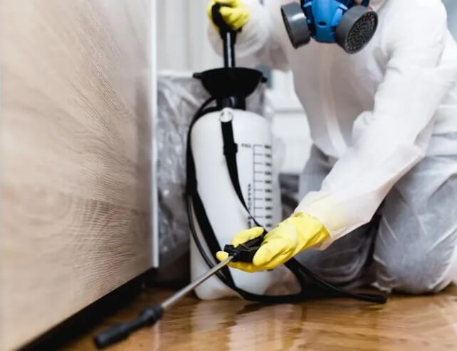 Pest Control Services in Point Cook